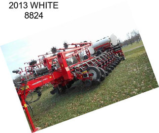 2013 WHITE 8824