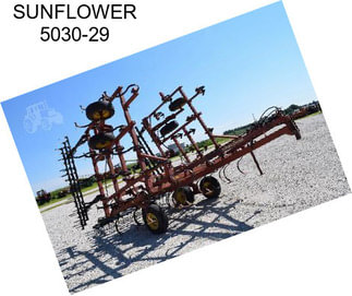 SUNFLOWER 5030-29