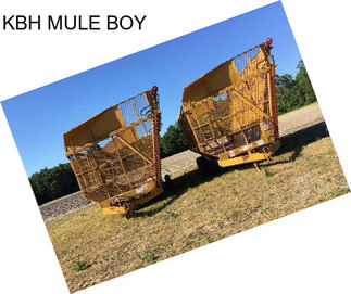 KBH MULE BOY