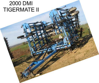 2000 DMI TIGERMATE II