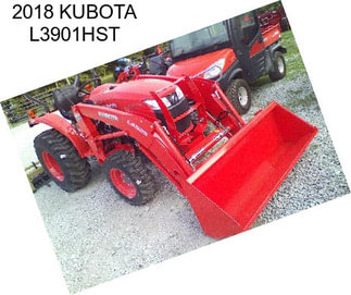 2018 KUBOTA L3901HST