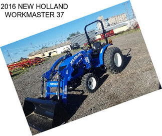 2016 NEW HOLLAND WORKMASTER 37