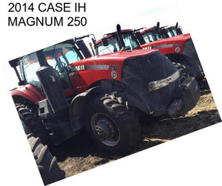2014 CASE IH MAGNUM 250