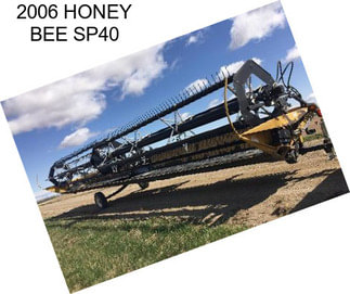 2006 HONEY BEE SP40