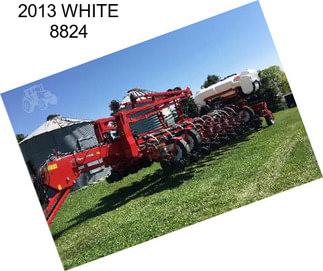 2013 WHITE 8824
