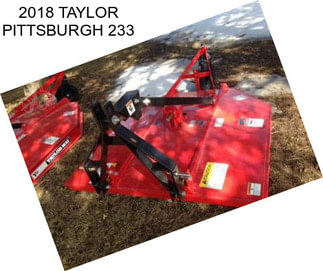 2018 TAYLOR PITTSBURGH 233