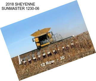 2018 SHEYENNE SUNMASTER 1230-06