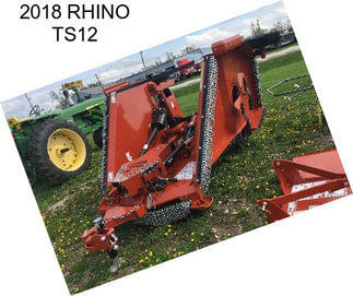 2018 RHINO TS12