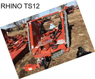 RHINO TS12