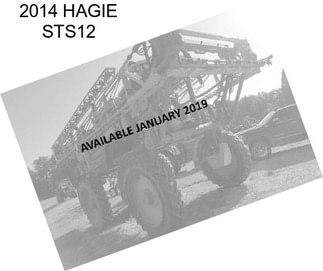 2014 HAGIE STS12