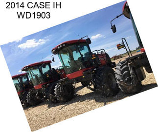 2014 CASE IH WD1903