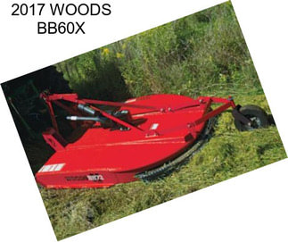 2017 WOODS BB60X