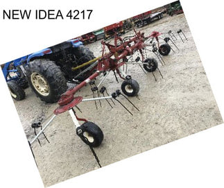 NEW IDEA 4217