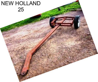 NEW HOLLAND 25