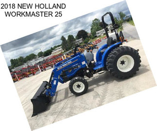 2018 NEW HOLLAND WORKMASTER 25