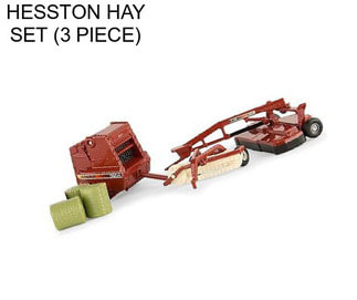 HESSTON HAY SET (3 PIECE)