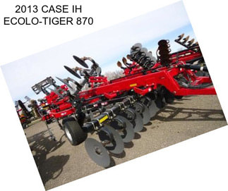 2013 CASE IH ECOLO-TIGER 870