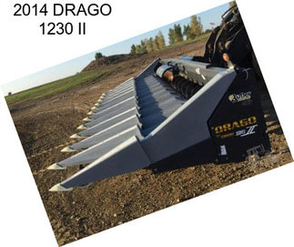 2014 DRAGO 1230 II