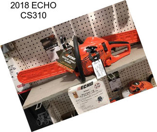 2018 ECHO CS310