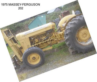 1975 MASSEY-FERGUSON 202