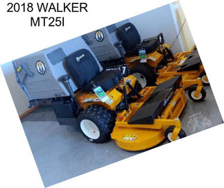 2018 WALKER MT25I