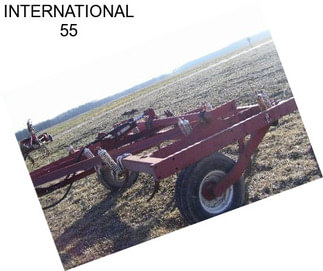 INTERNATIONAL 55