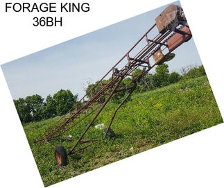 FORAGE KING 36BH