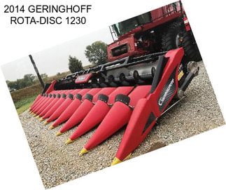 2014 GERINGHOFF ROTA-DISC 1230