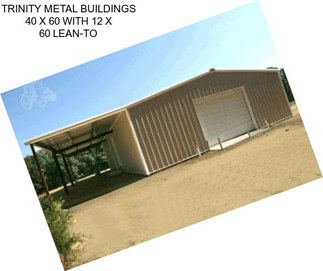 TRINITY METAL BUILDINGS 40 X 60 WITH 12 X 60 LEAN-TO