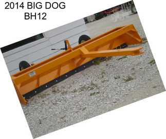 2014 BIG DOG BH12