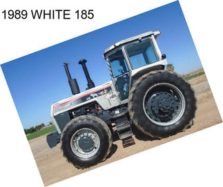 1989 WHITE 185