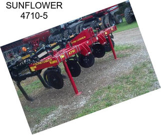 SUNFLOWER 4710-5