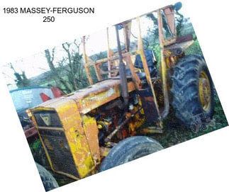 1983 MASSEY-FERGUSON 250