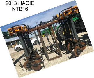 2013 HAGIE NTB16