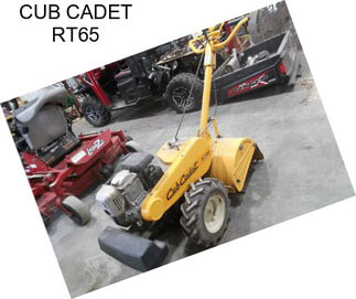 CUB CADET RT65