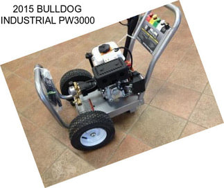 2015 BULLDOG INDUSTRIAL PW3000