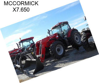 MCCORMICK X7.650