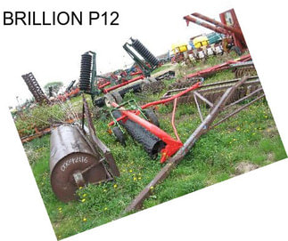 BRILLION P12