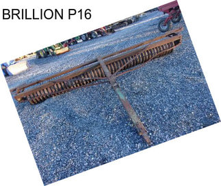 BRILLION P16