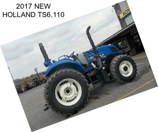 2017 NEW HOLLAND TS6.110