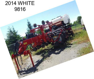 2014 WHITE 9816