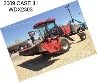 2009 CASE IH WDX2303