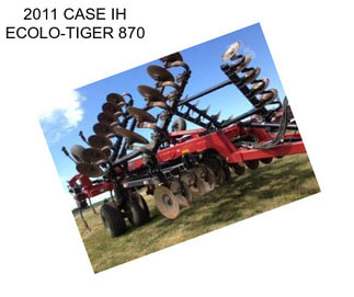 2011 CASE IH ECOLO-TIGER 870