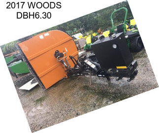 2017 WOODS DBH6.30