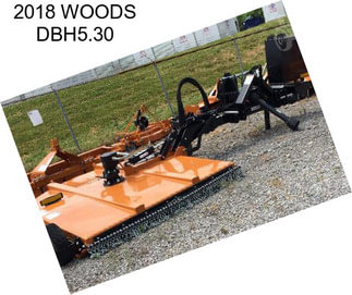 2018 WOODS DBH5.30