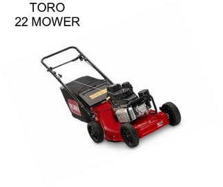 TORO 22\