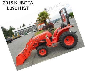 2018 KUBOTA L3901HST