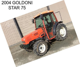 2004 GOLDONI STAR 75