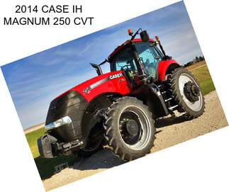 2014 CASE IH MAGNUM 250 CVT