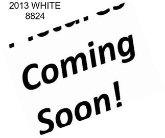 2013 WHITE 8824